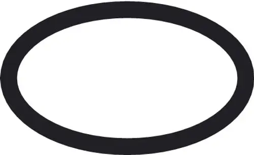 Schwarzer O-Ring mit runder Form, geeignet für Dichtungen. Hergestellt von Hansgrohe, präsentiert auf weißem Hintergrund.